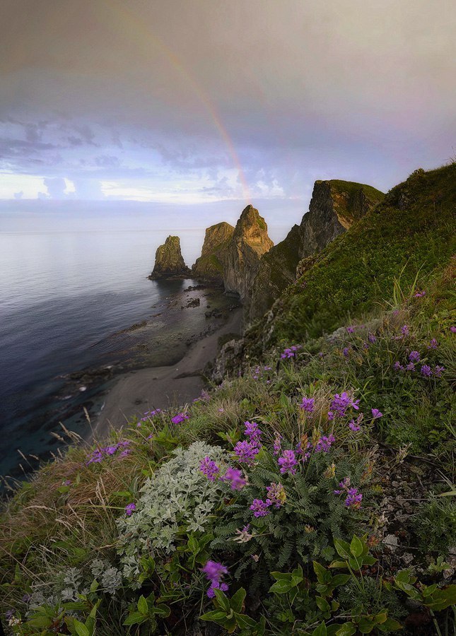 Cape of four rocks - , Primorsky Krai, Russia, Photo, The photo, Nature, Gotta go, Longpost