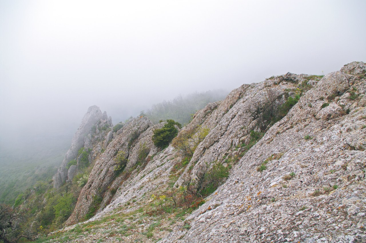 Spring in the Crimean mountains. - My, Crimea, Photo, Russia, Echki-Dag, New World, , The mountains, Spring, Longpost