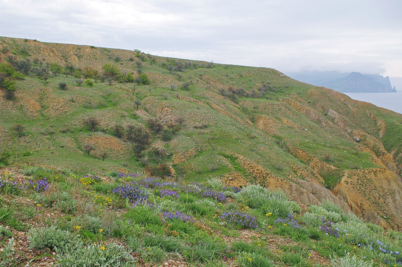 Spring in the Crimean mountains. - My, Crimea, Photo, Russia, Echki-Dag, New World, , The mountains, Spring, Longpost