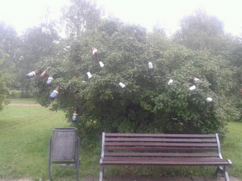 Decorate the tree. - Disgusting, Tree, Beer, Benches, The park