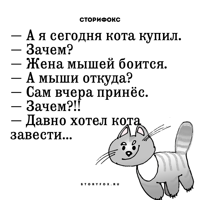 Зачем приносят. Анекдоты про котов и мышей. Анекдоты на сообразительность. Я сегодня кота купил зачем жена мышей боится. Анекдот про мышку и кота.