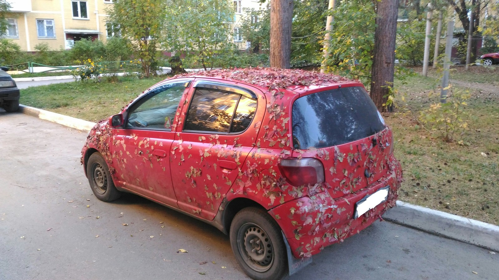 Когда отпустил гулять в лес без поводка. | Пикабу