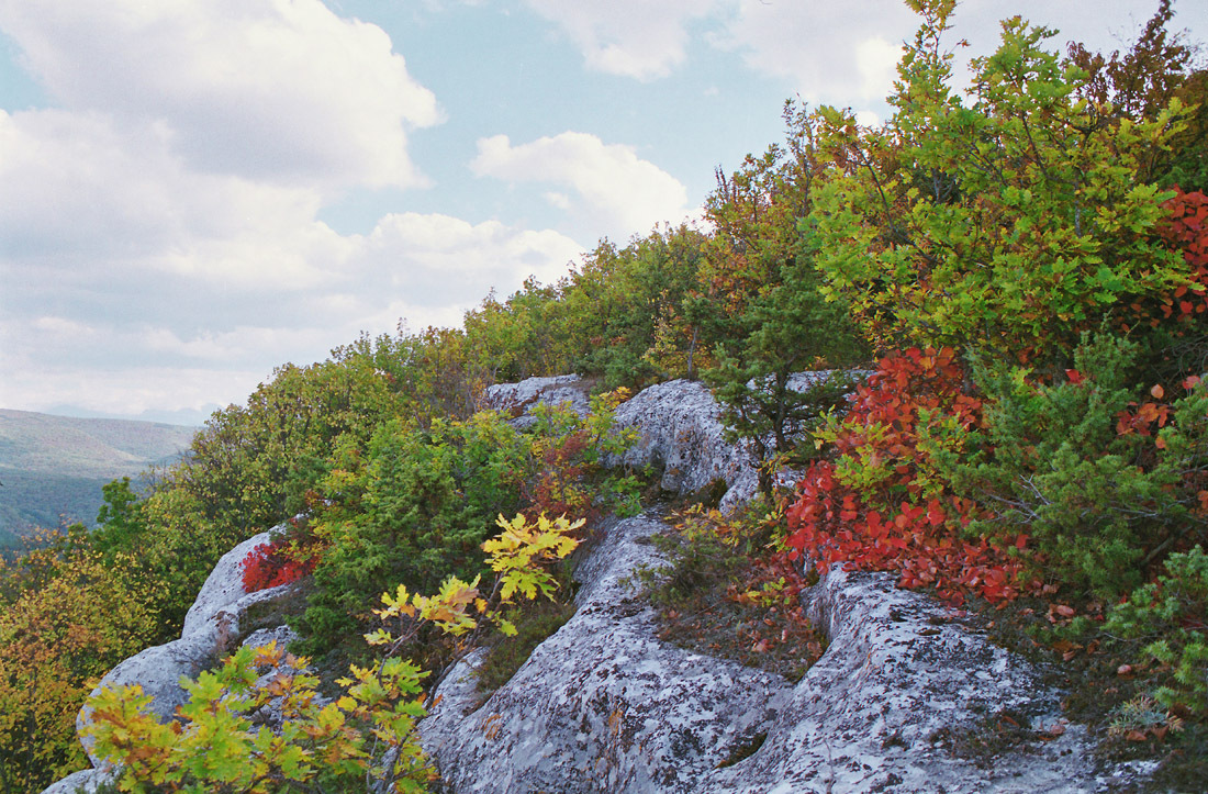 Spicy Bakhchisarai autumn. - My, Crimea, Bakhchisarai, Russia, Chufut-Kale, Mangup, Photo, camera roll, Autumn, Longpost