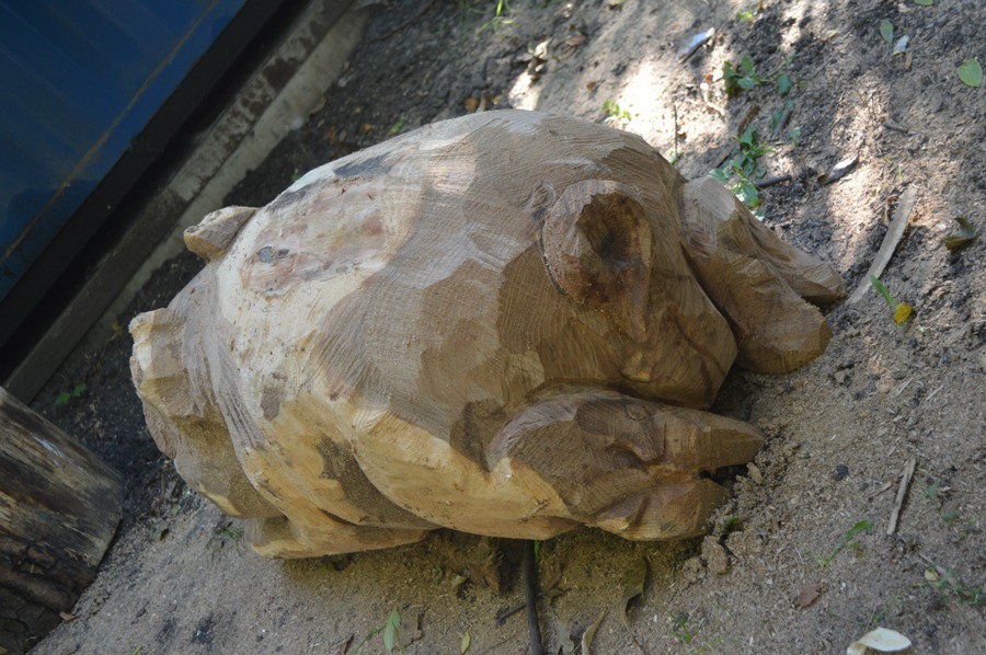 piggy - My, Voronezh, Chainsaw sculpture, Alexander Ivchenko, Chainsaw, , , Video, Longpost