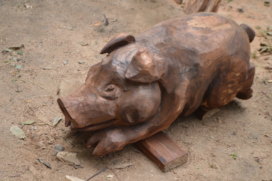 piggy - My, Voronezh, Chainsaw sculpture, Alexander Ivchenko, Chainsaw, , , Video, Longpost