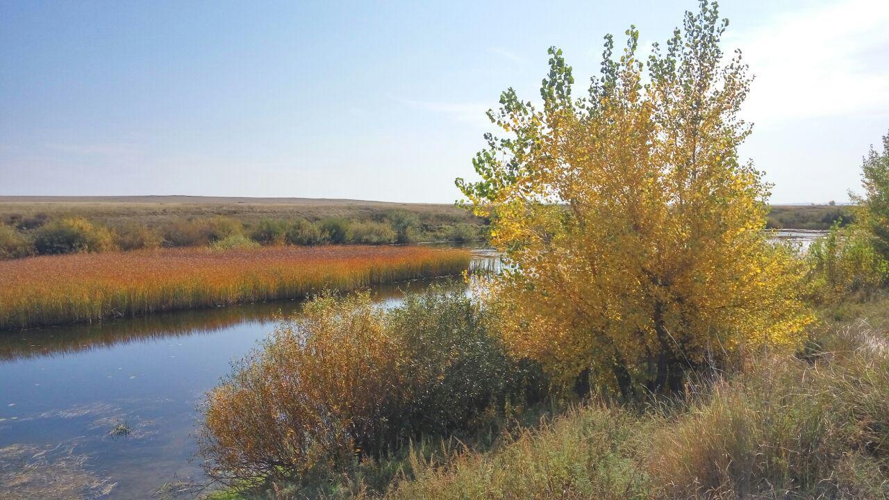 Autumn in the South Urals - My, Autumn, The nature of Russia, Nature, Landscape, Travel across Russia