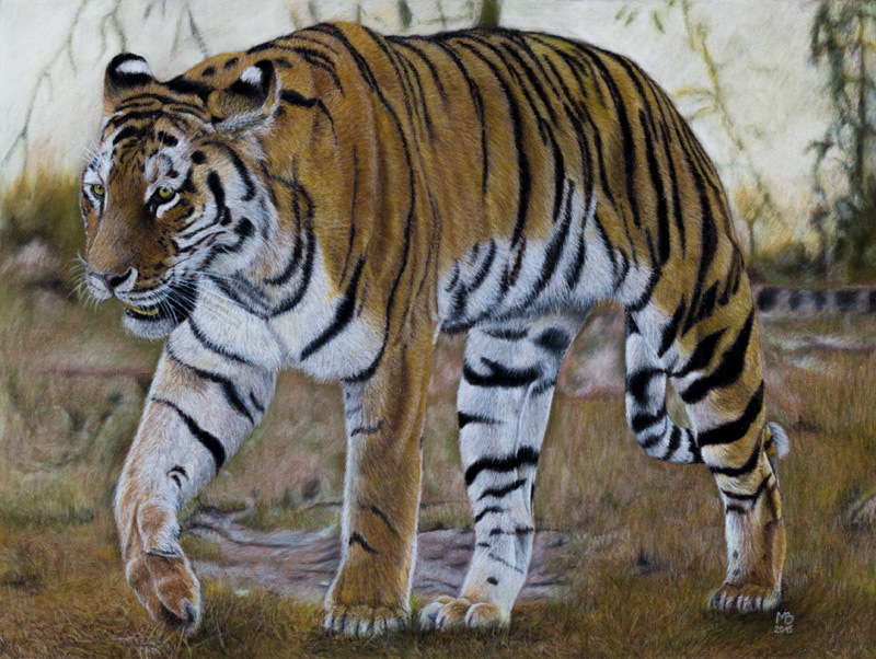 Tigers - My, Tiger, Pastel, Drawing, Animalistics, Animals, Longpost