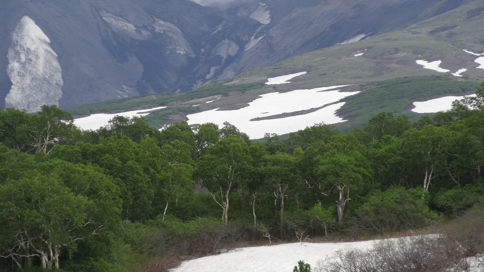 Summer in Petropavlovsk-Kamchatsky - My, Kamchatka, Petropavlovsk-Kamchatsky, The photo, Travels, Longpost