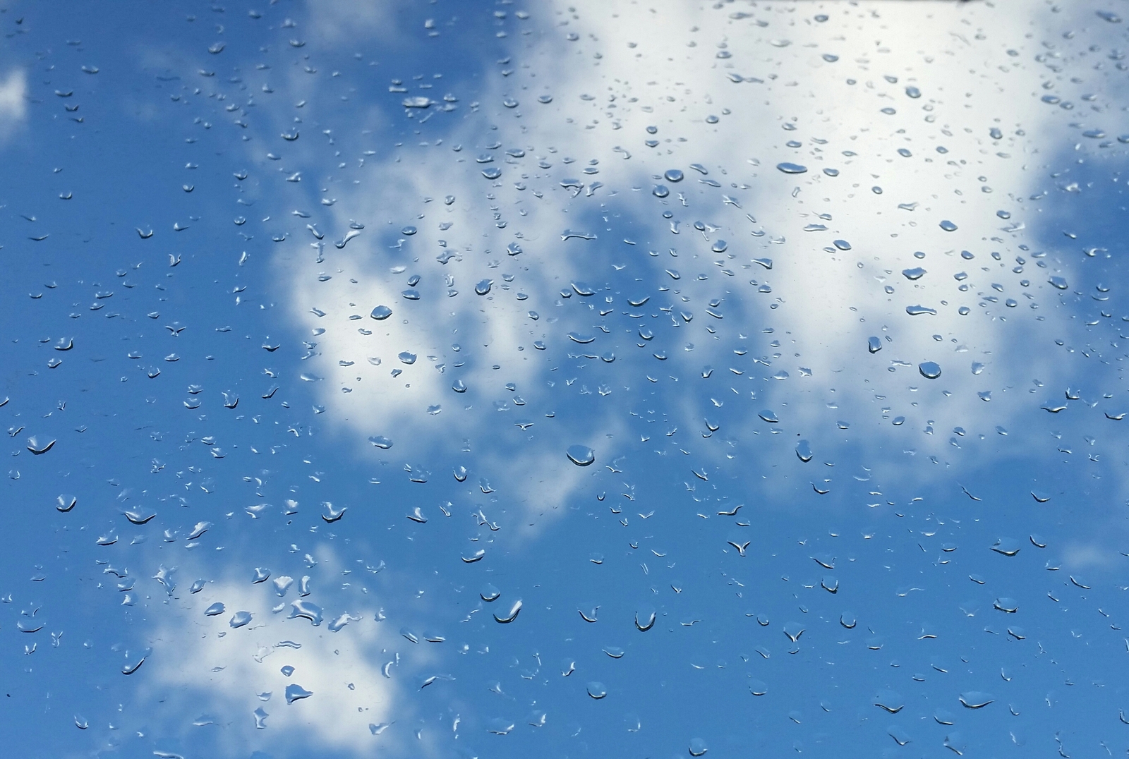 Drops - My, Photo, Rain, Sky