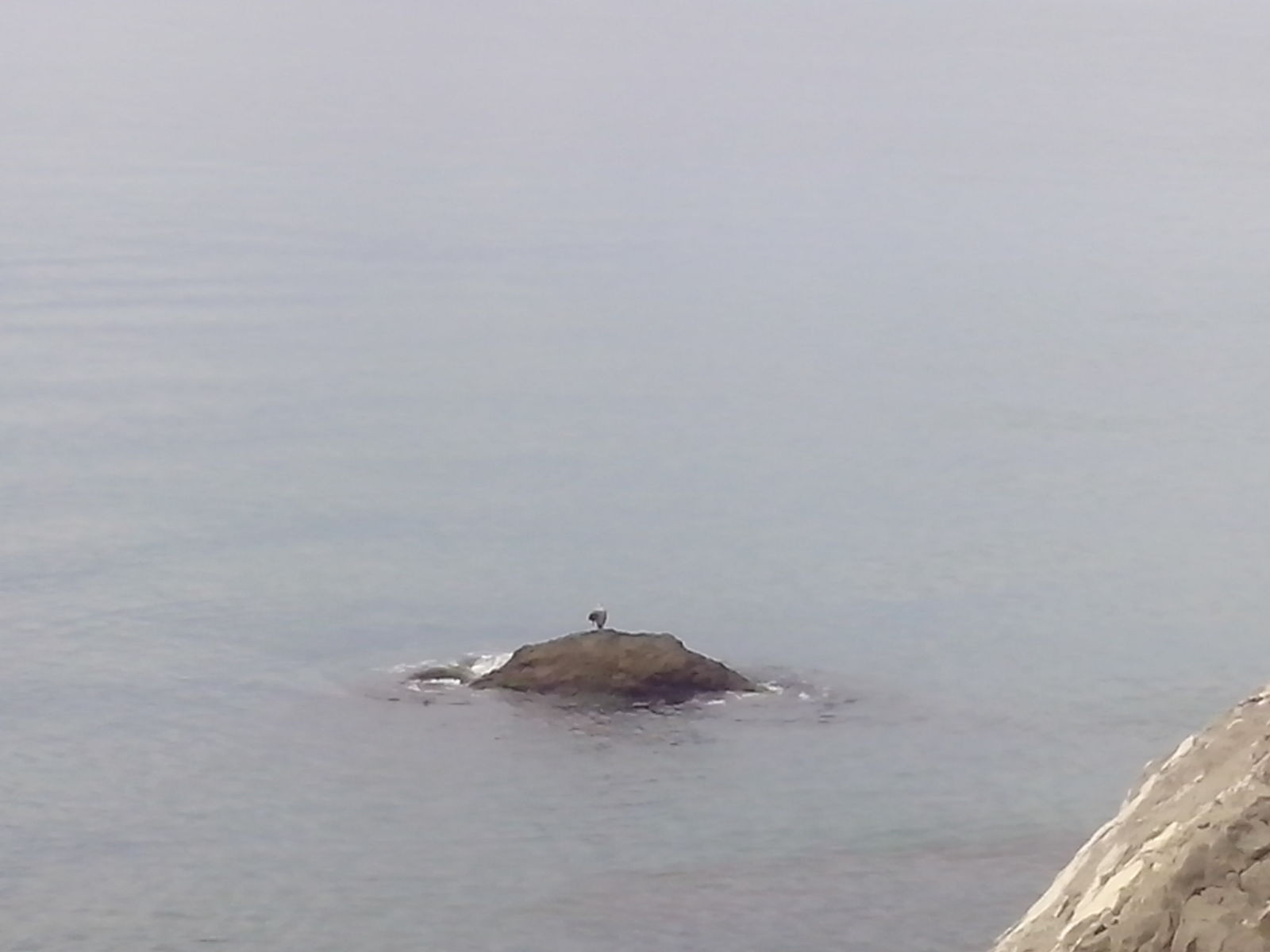 Crimea.Sudak area - My, Black Sea, Crimea, Vacation, Longpost, The photo, The city of Sudak