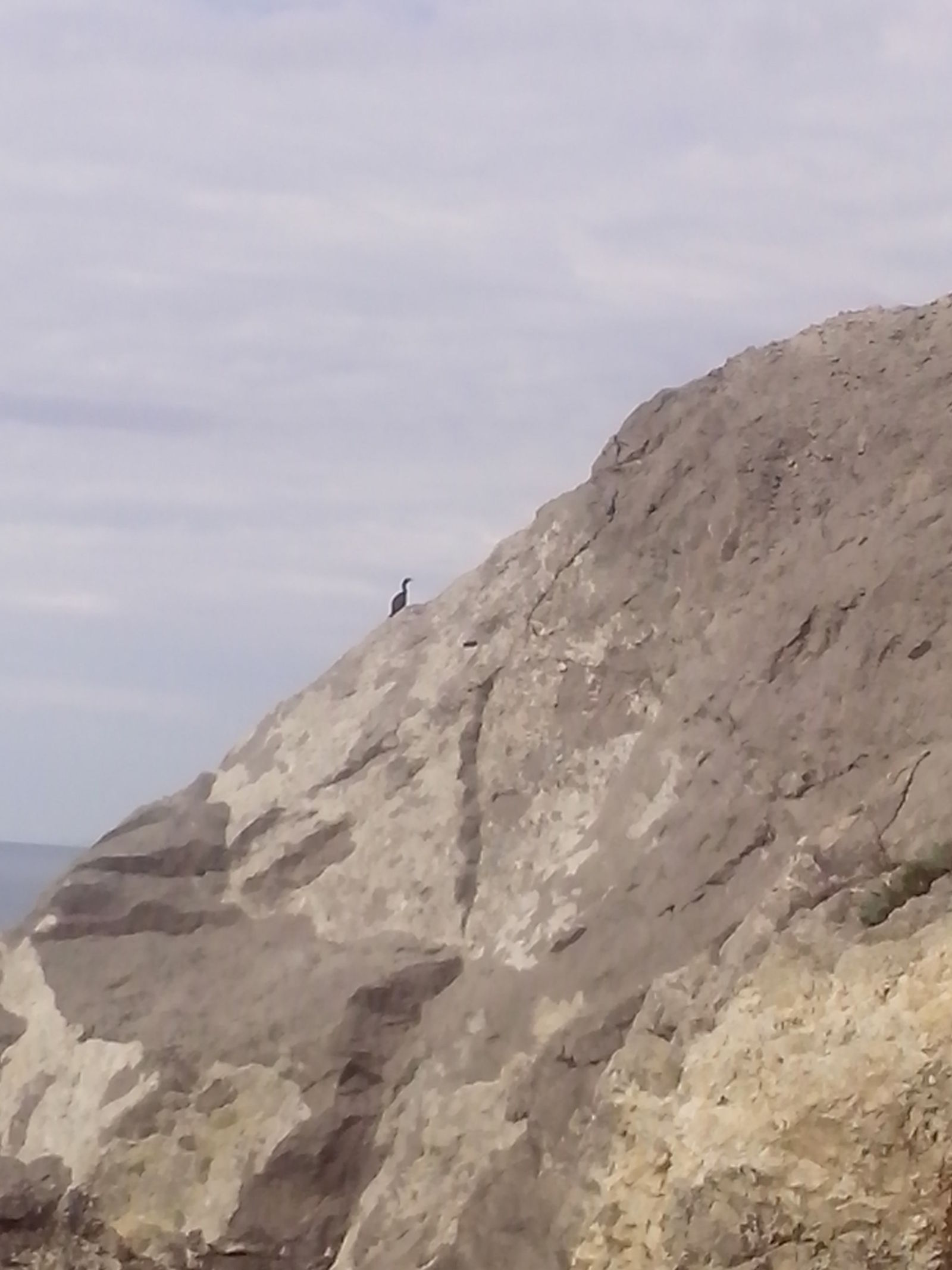 Crimea.Sudak area - My, Black Sea, Crimea, Vacation, Longpost, The photo, The city of Sudak