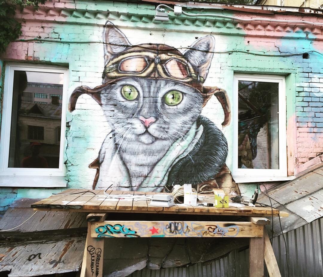 pilot cat - cat, Graffiti