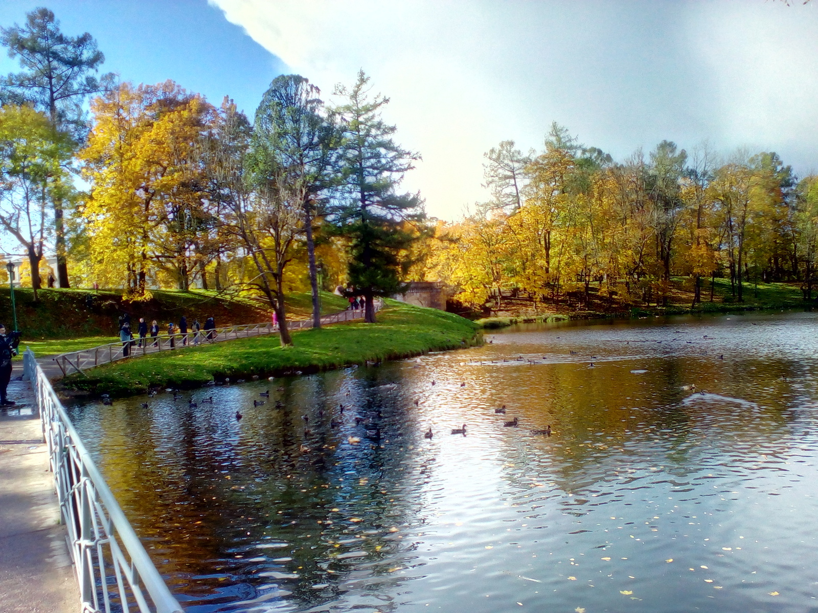 Gatchina - My, Photo, Gatchina, Leningrad region