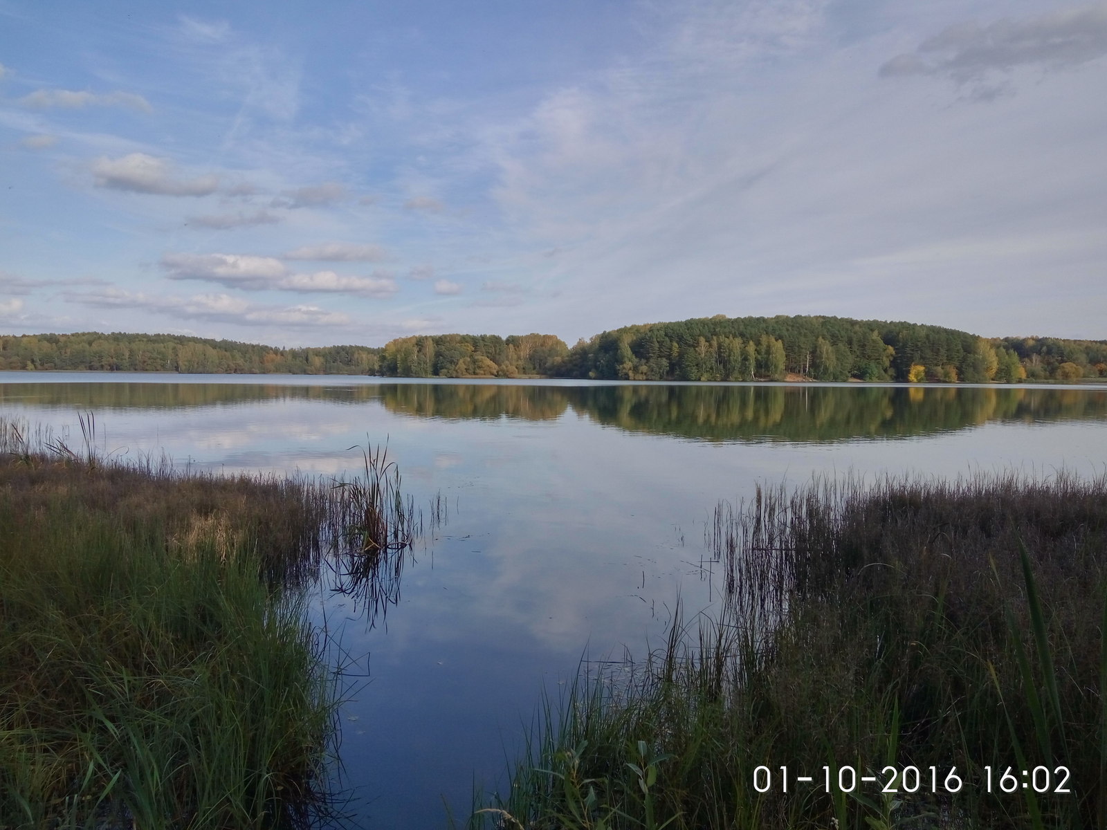 Осень.красота. - Моё, Осень, Республика Беларусь, Природа, Длиннопост