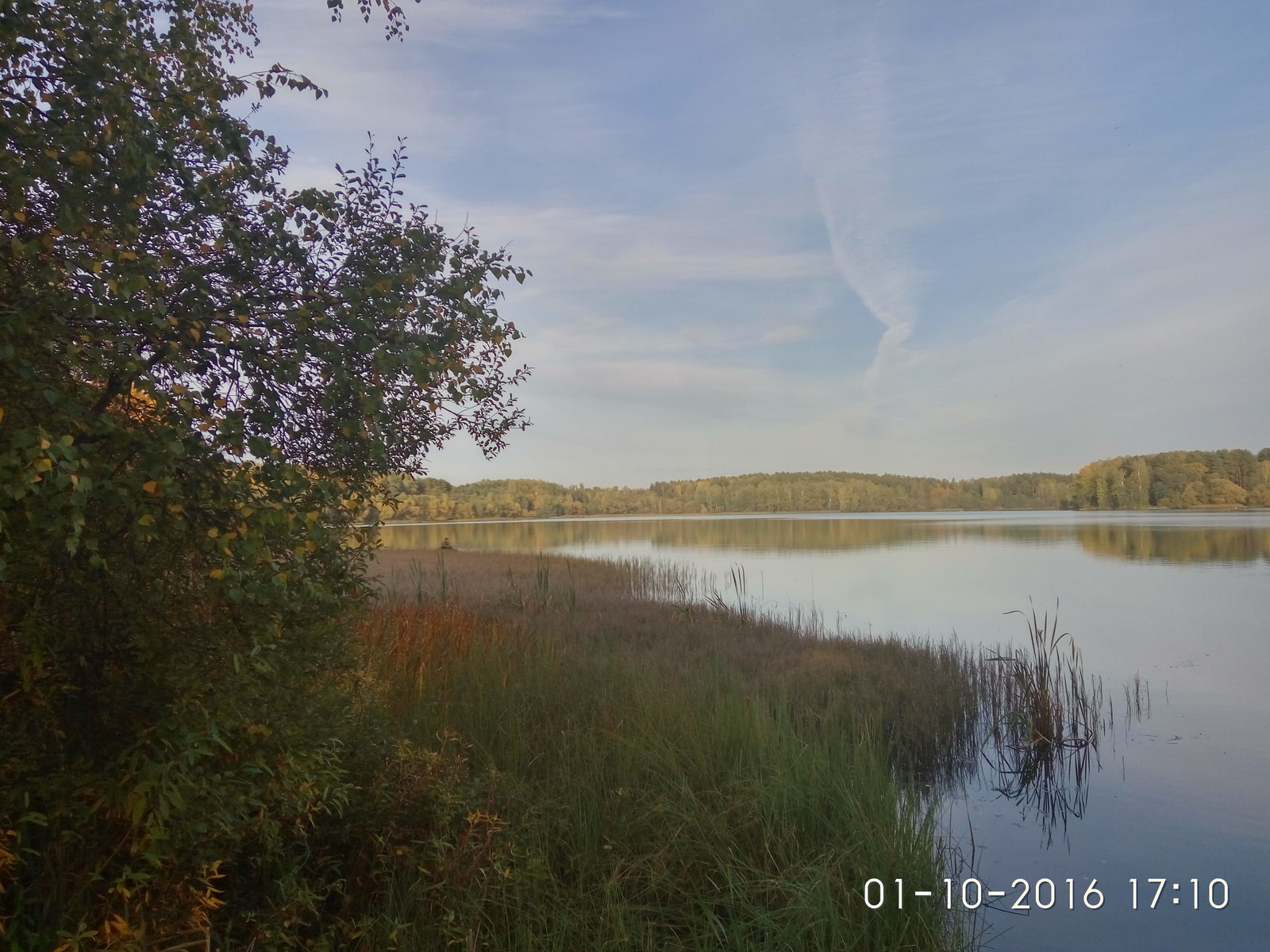 Autumn.beauty. - My, Autumn, Republic of Belarus, Nature, Longpost