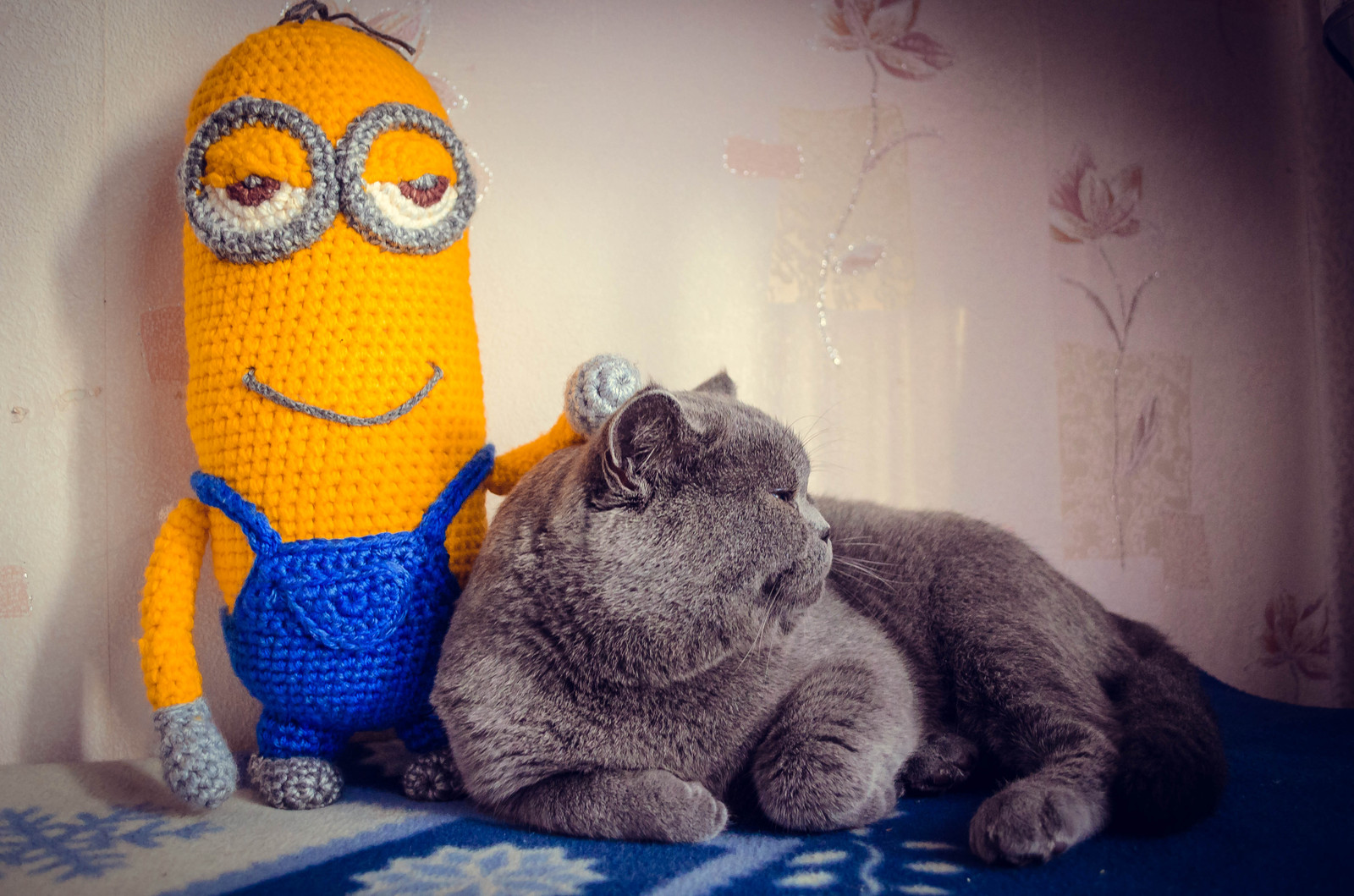 I tied Minion) - My, Amigurumi, Crochet, Knitted toys, cat, Minions, I share