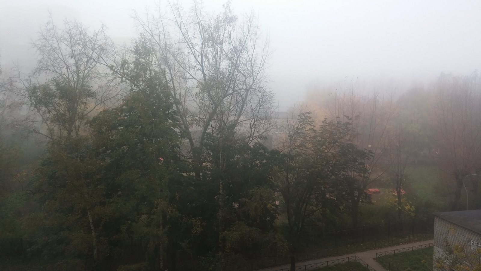 В Питере сегодня Сайлент Хилл - Silent Hill, Санкт-Петербург, Туман, Жуть