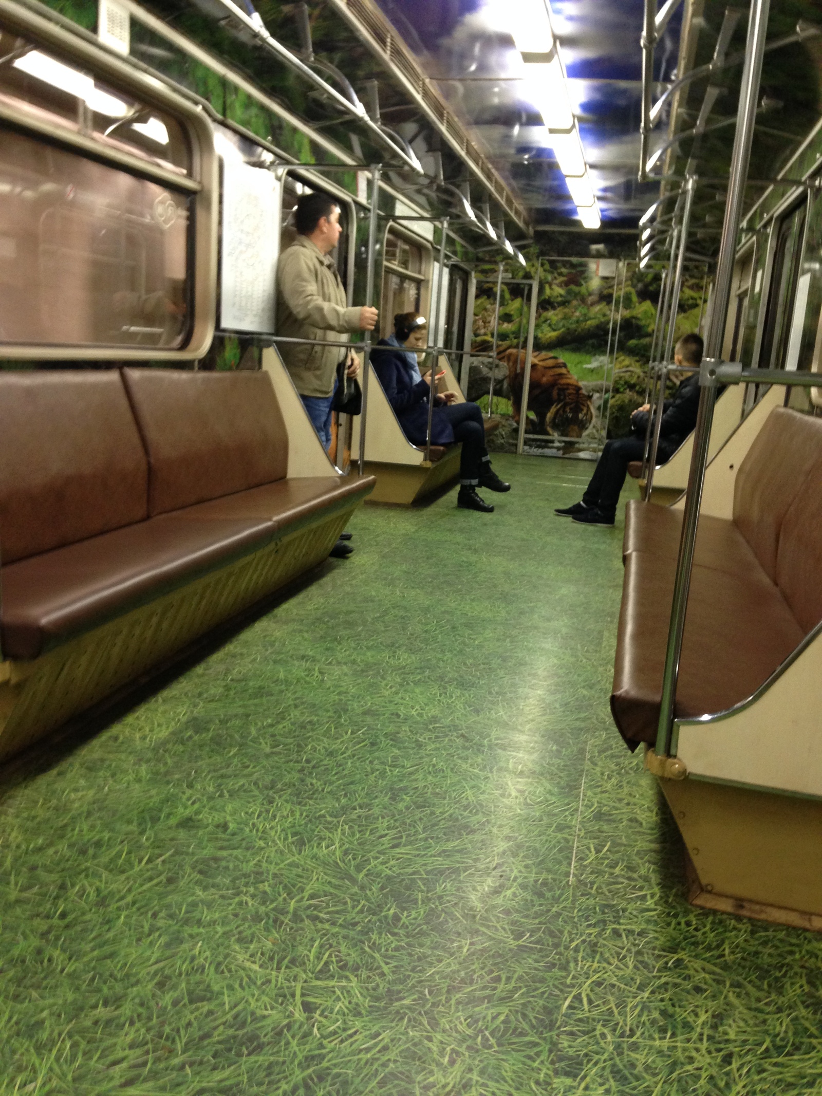 Underground carriage - My, Moscow Metro, Animals, , The photo, , Clouds, Grass, Longpost