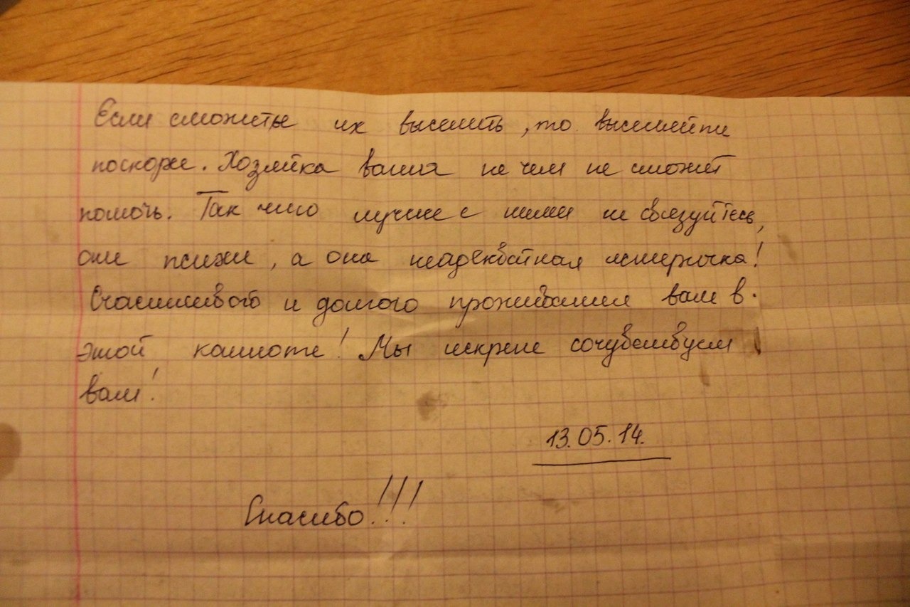 Bitter aftertaste or how Moscow met - My, Neighbours, Rent, Moscow, Rental of property, Relocation, Sarcasm, Longpost, cat