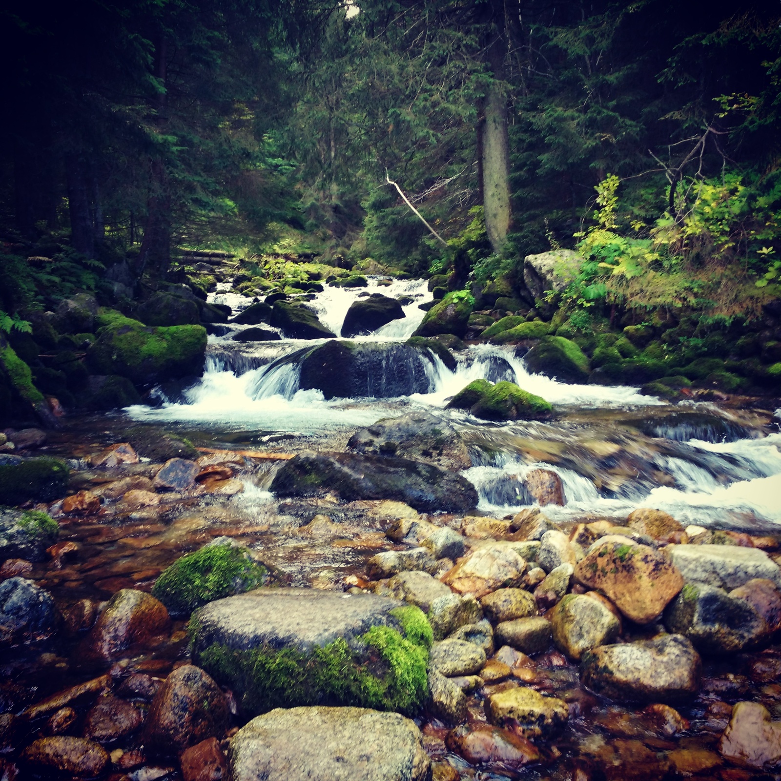 Zakopane, Kasprowy Wierch, Poland - My, Poland, Zakopane, , Longpost