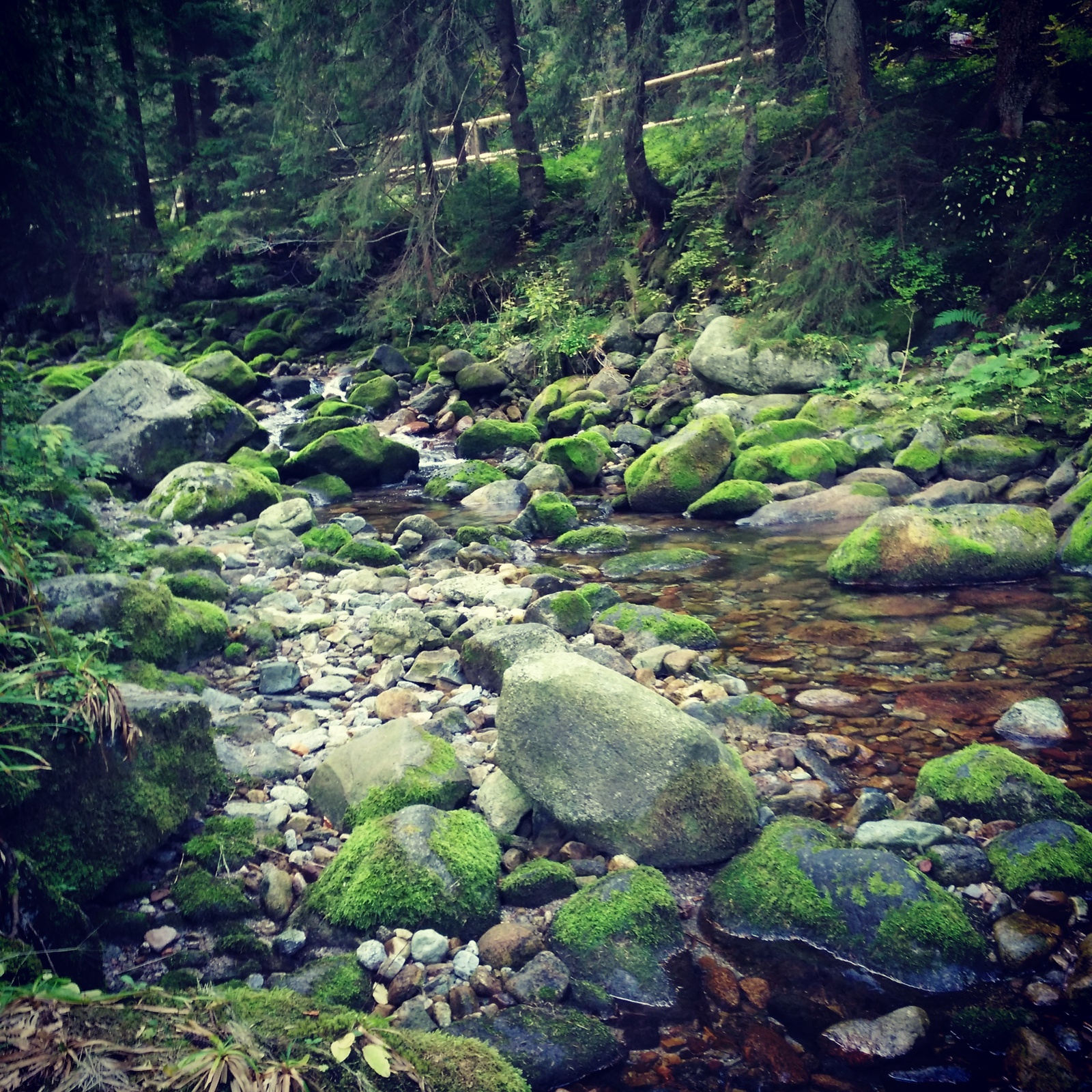 Zakopane, Kasprowy Wierch, Poland - My, Poland, Zakopane, , Longpost