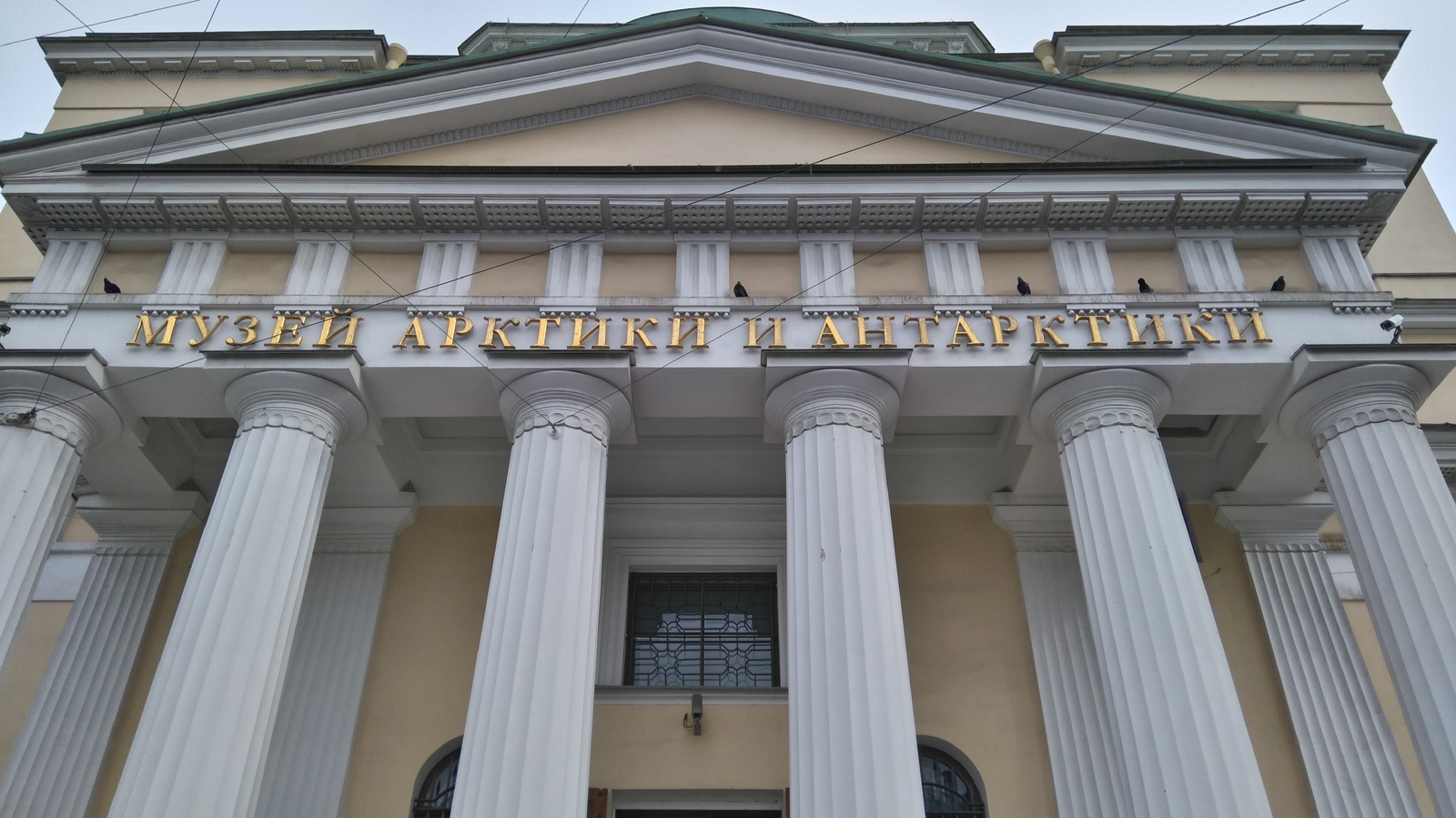 Museum of the Arctic and Antarctic, St. Petersburg. - My, Arctic and Antarctic Museum, Saint Petersburg, Weekend, Longpost