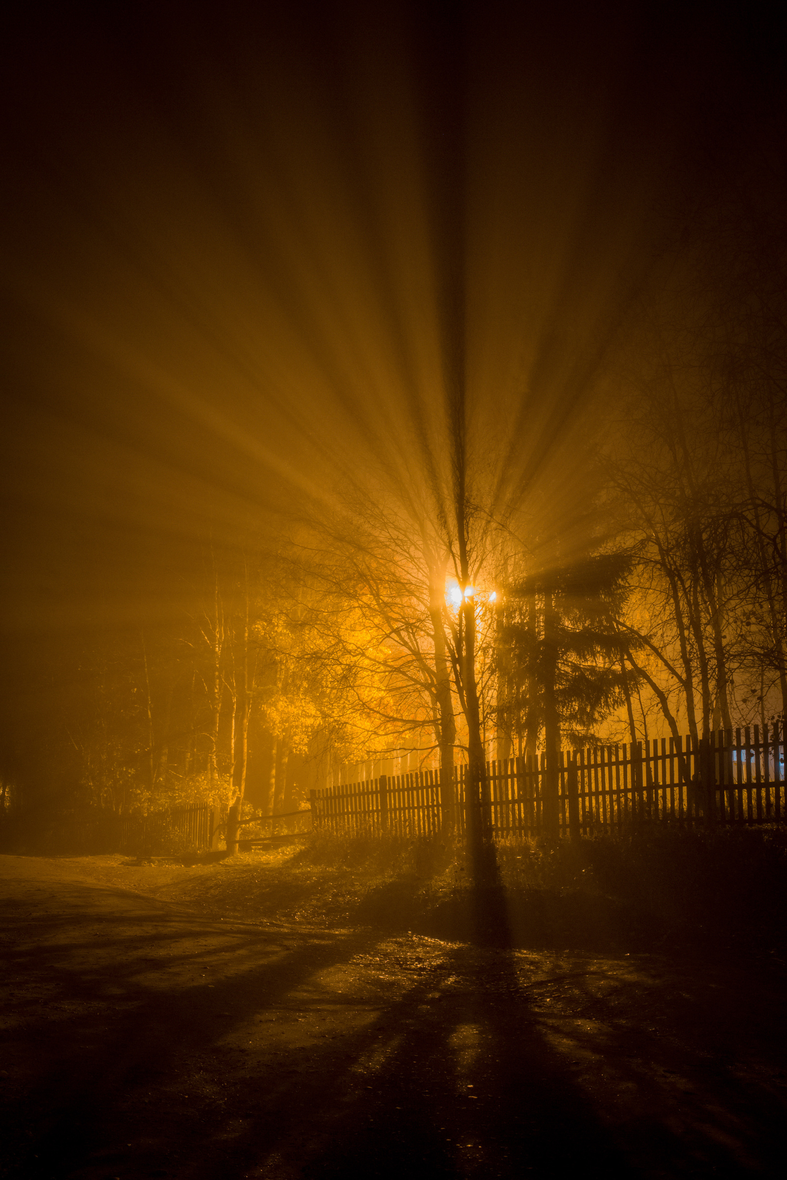 Evening fog - My, Fog, Autumn, Canon