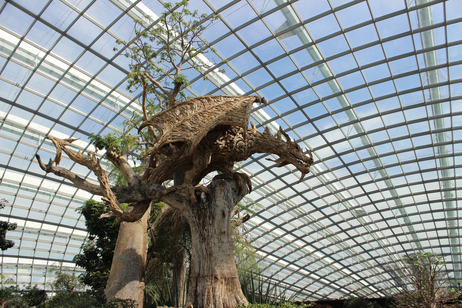 wooden dragon - My, The Dragon, Tree, The statue, Botanical Garden, Sculpture