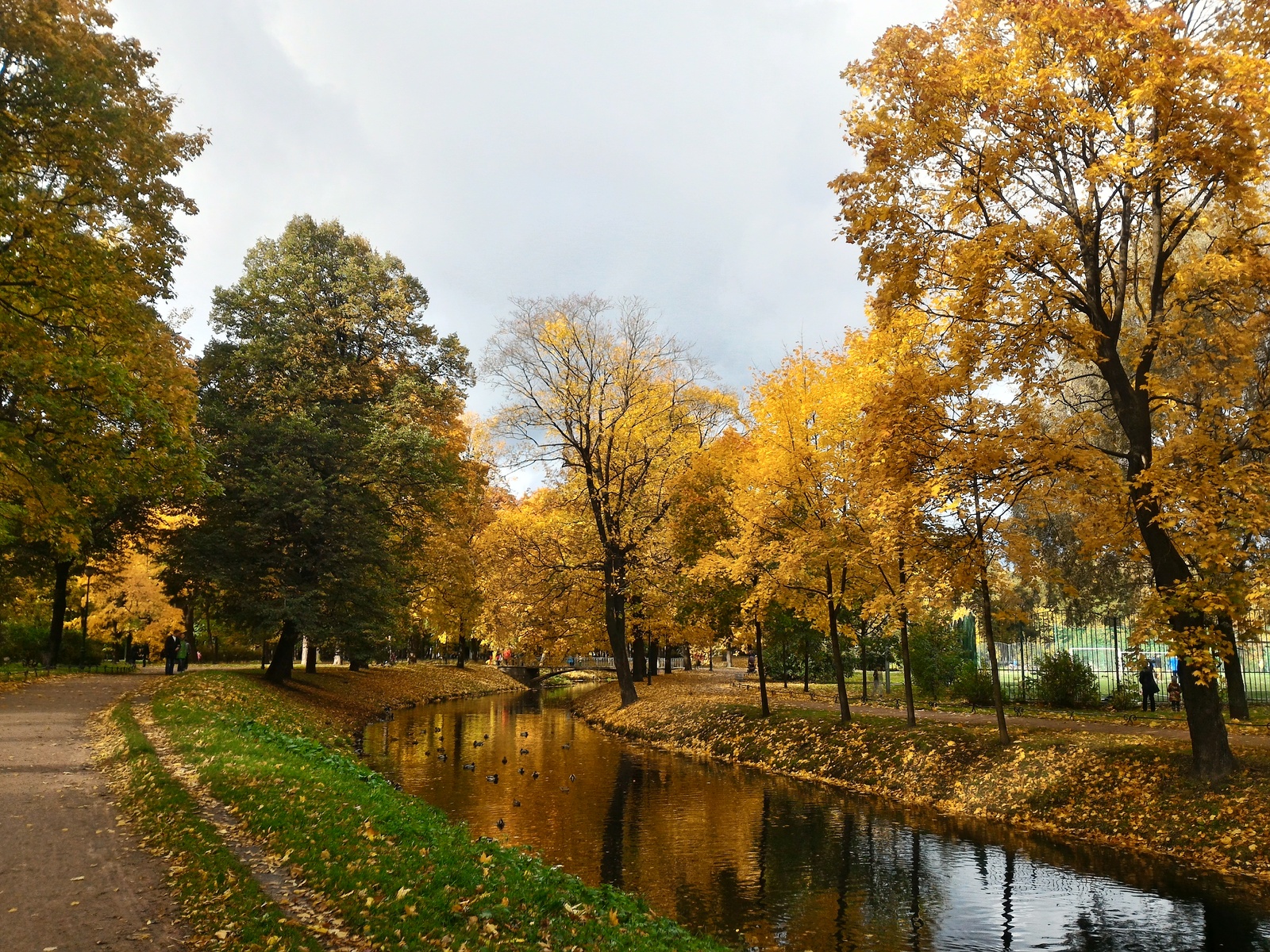 Таврический сад осенью в Санкт-Петербурге