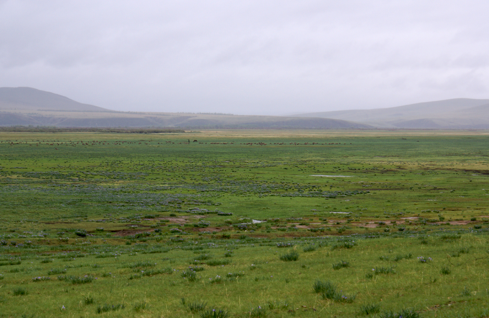 Tomb of Genghis Khan. - My, Genghis Khan, Story, Longpost