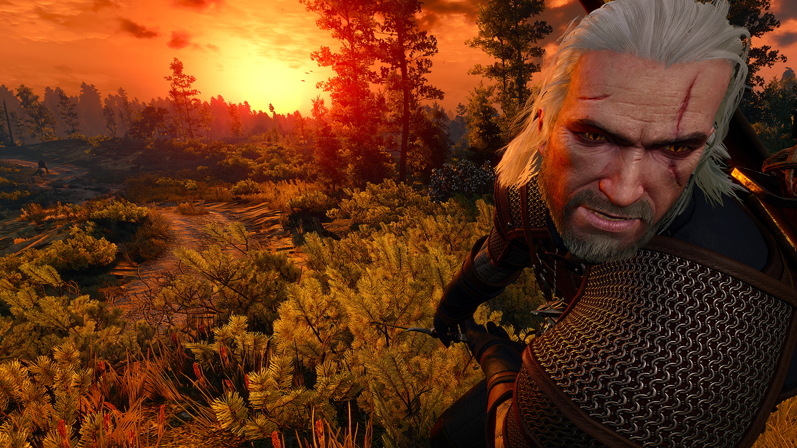 Nvidia the witcher 3 driver фото 7