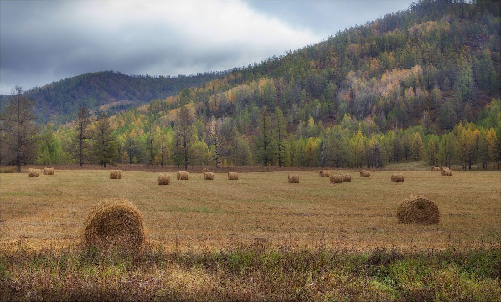 Velvet autumn of Altai - Altai, Russia, Gotta go, Nature, Autumn, Photo, The photo, Landscape, Longpost, Altai Republic