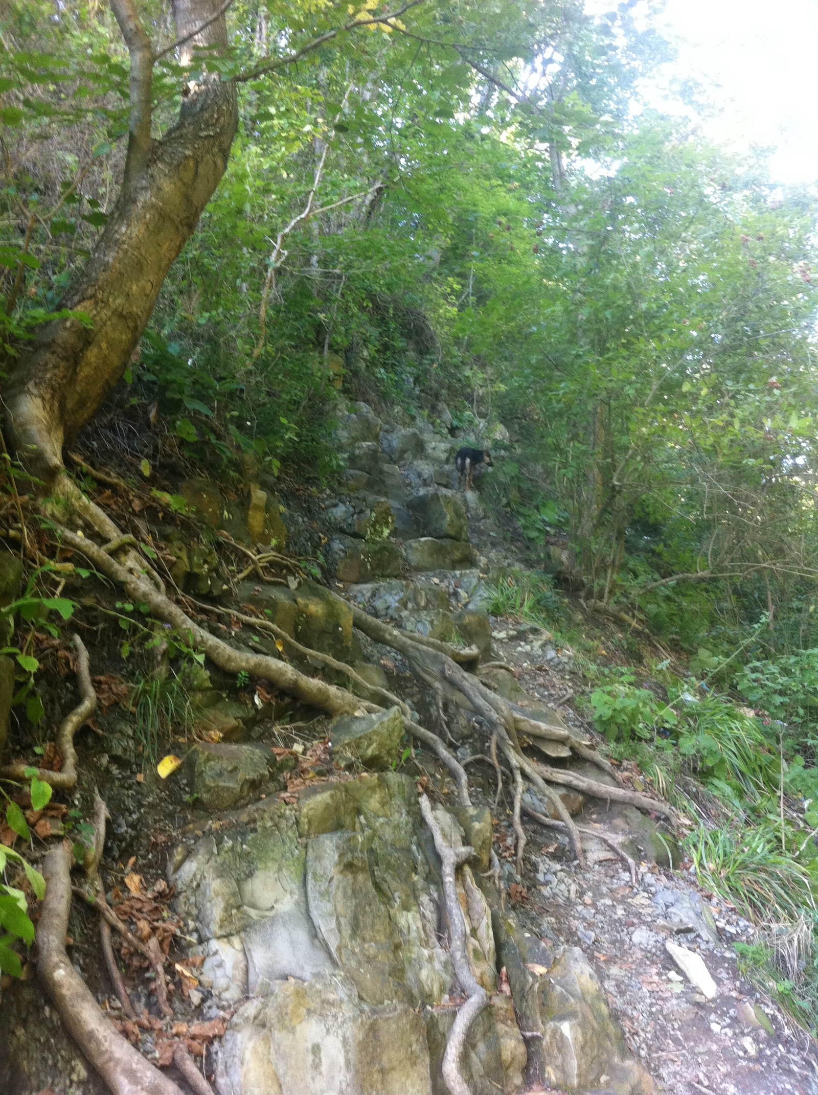 Kiseleva Rock - a natural monument of the Tuapse district of the Krasnodar Territory - My, , Kiselev Rock, My, Black Sea, Longpost, Photo, Text, Travels