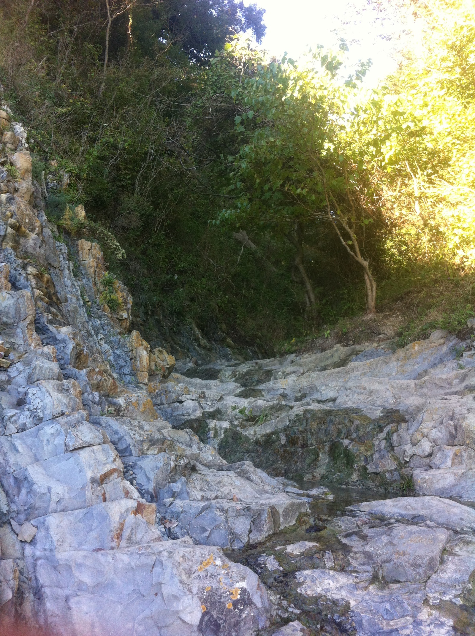 Kiseleva Rock - a natural monument of the Tuapse district of the Krasnodar Territory - My, , Kiselev Rock, My, Black Sea, Longpost, Photo, Text, Travels