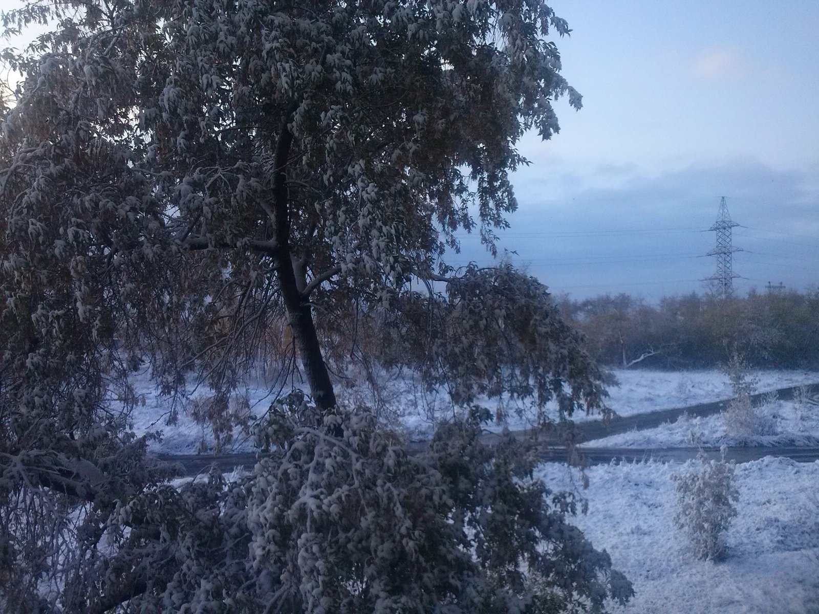 Will there be no autumn? - My, Omsk, Winter, WTF