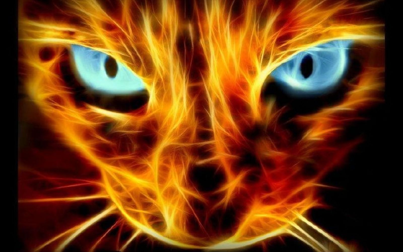 Огненный кот