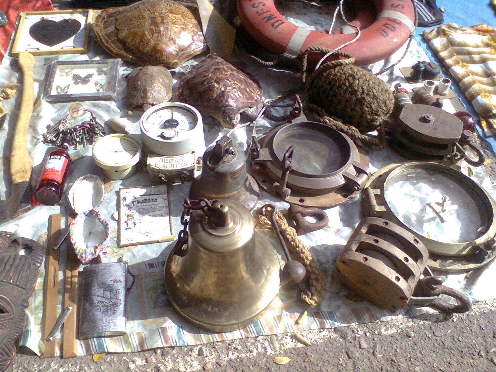 Old-fashioned, flea, bird, bestial, flea market. - My, Starokonny Market, Odessa, Flea market, Longpost