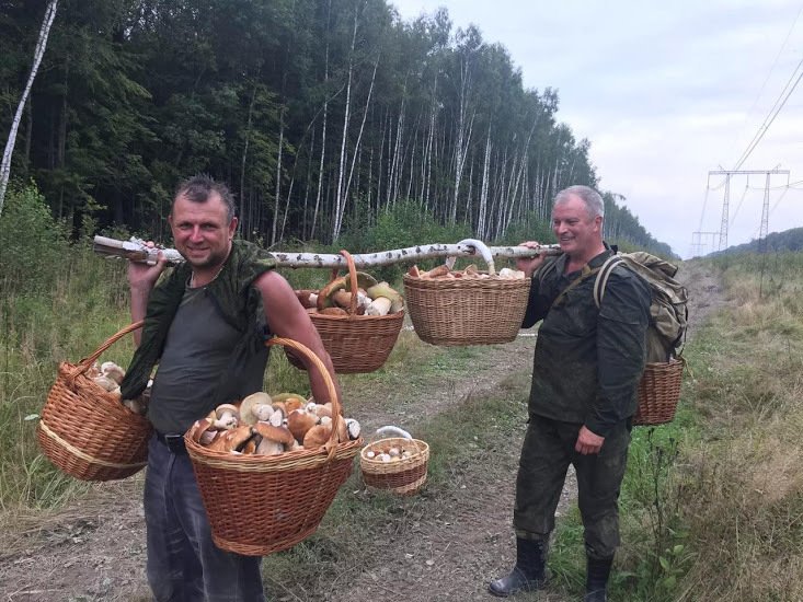 After a quiet hunt - Basket, Mushrooms, Men, Silent hunt