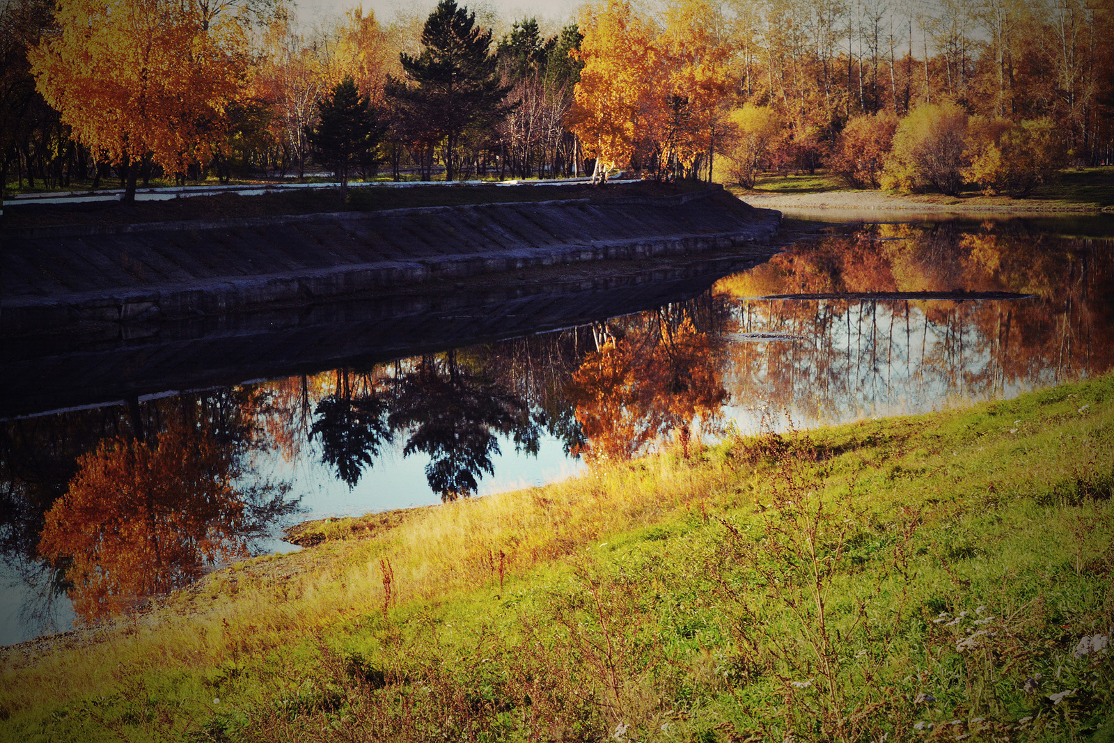 A bit of autumn mood, which is not in Siberia today - My, Autumn, October, 