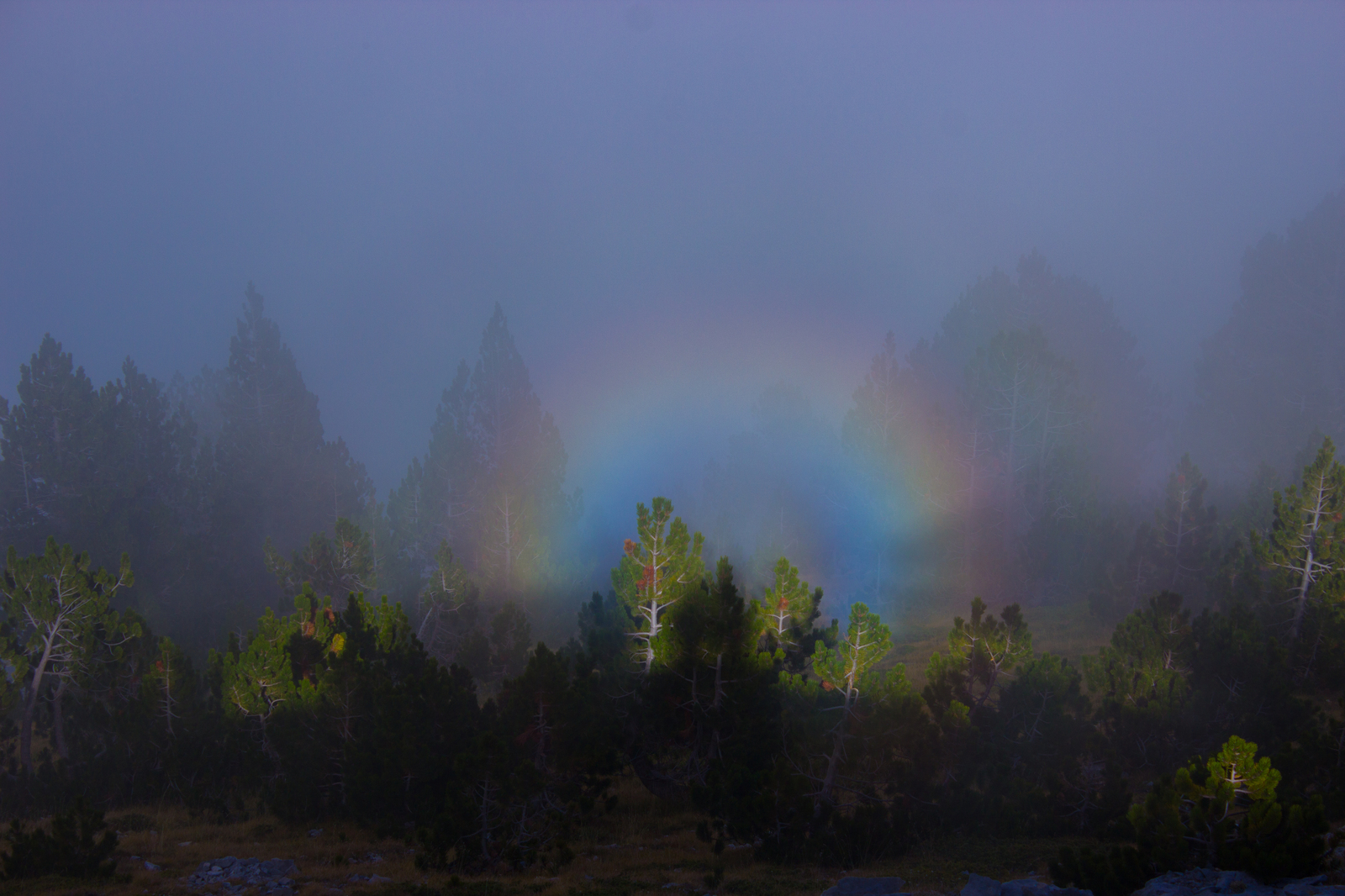 This seems like a good sign. - My, Rainbow, Olympus, Clouds