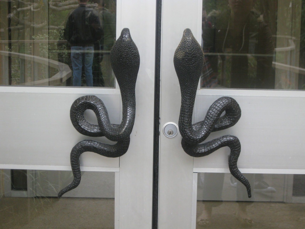 Doorknobs. - Door, Door knob, Snake, Cobras