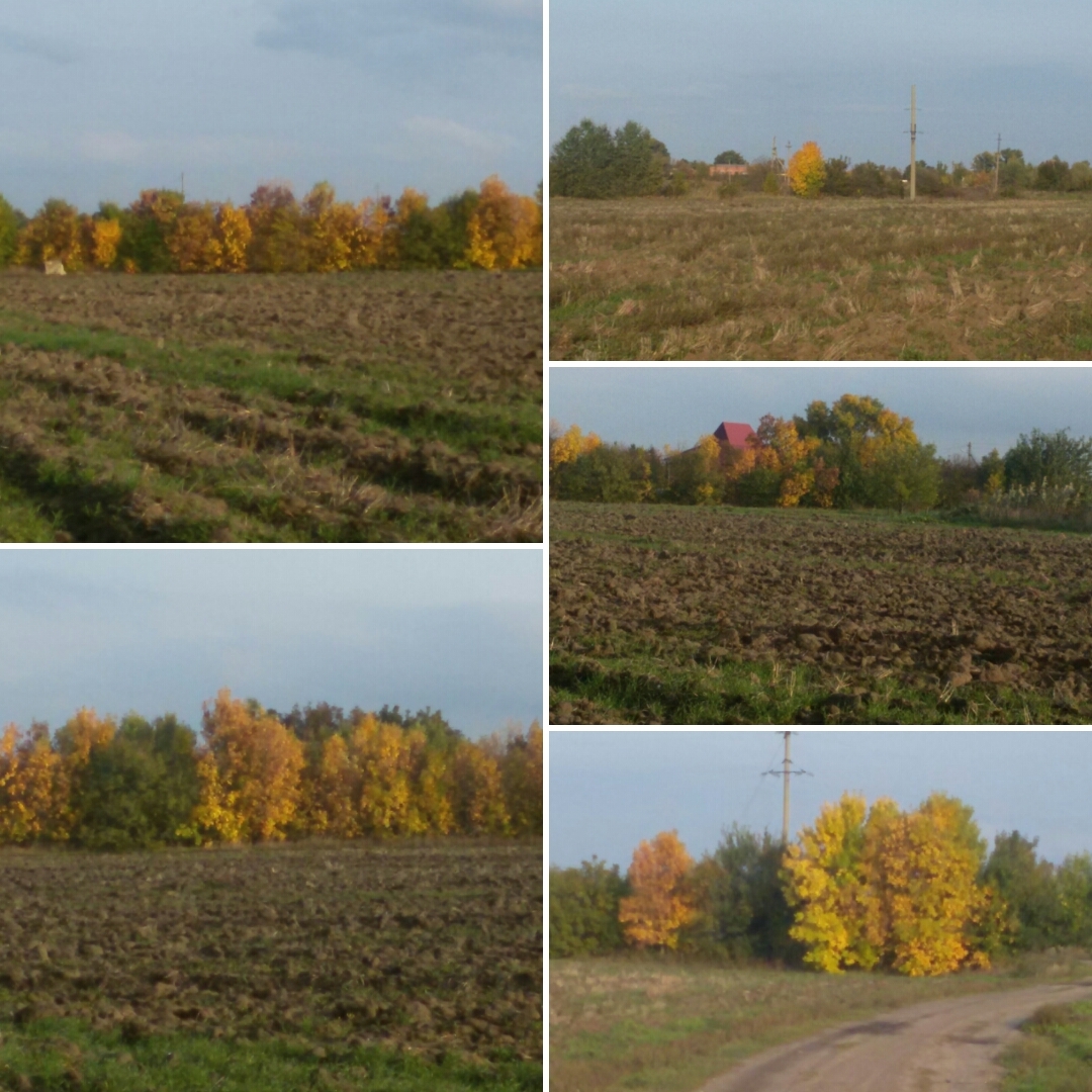 A little autumn. - My, Autumn, Nature, Russia