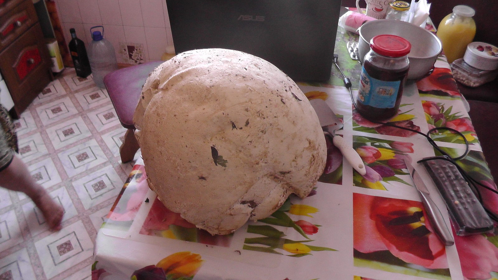 Just a small puffball mushroom. - My, Mushrooms, Giants, Amazing