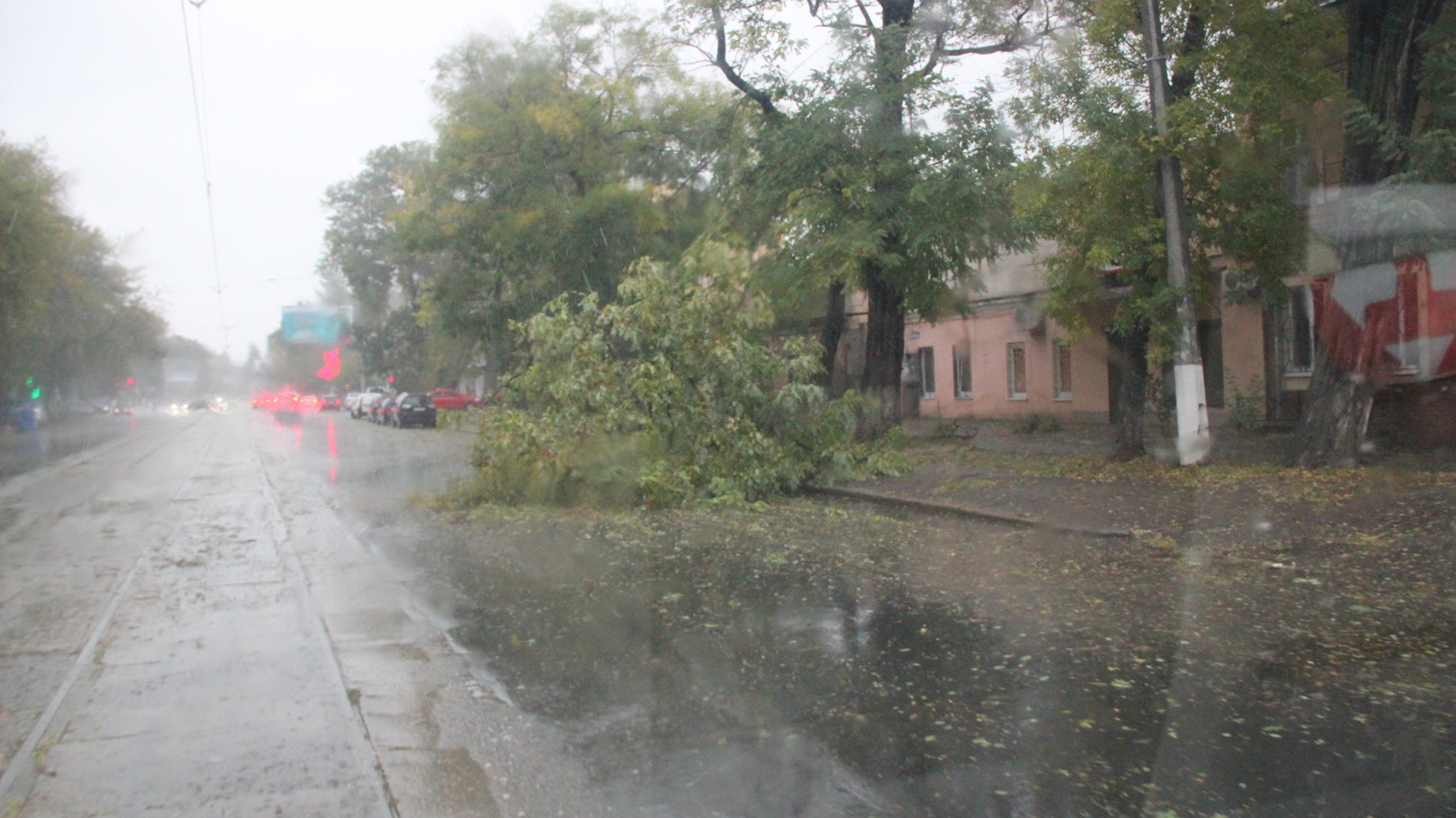 Hurricane Storm strong wind rain and all this in Odessa 12-10-2016 - My, Hurricane, Odessa, Wind, Rain, Strong, Storm, The fall, Tree, Longpost