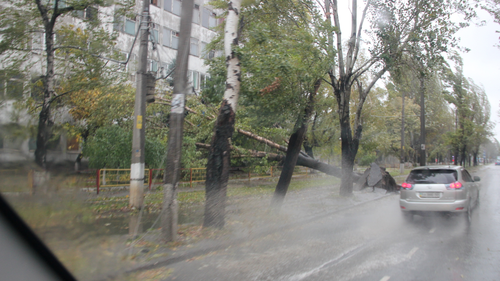 Hurricane Storm strong wind rain and all this in Odessa 12-10-2016 - My, Hurricane, Odessa, Wind, Rain, Strong, Storm, The fall, Tree, Longpost