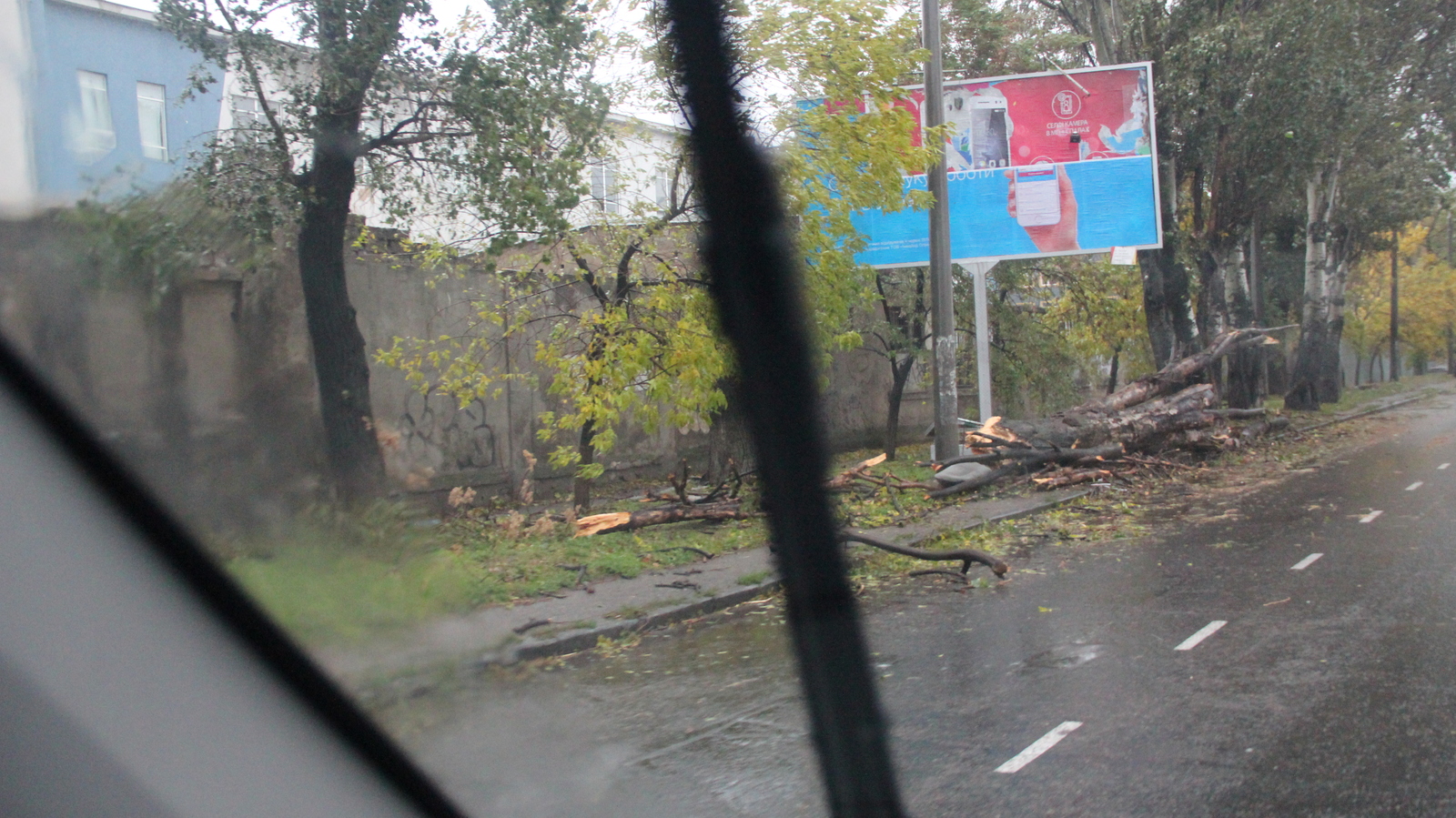 Hurricane Storm strong wind rain and all this in Odessa 12-10-2016 - My, Hurricane, Odessa, Wind, Rain, Strong, Storm, The fall, Tree, Longpost