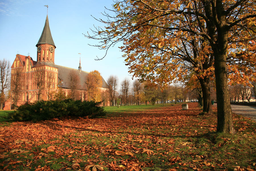 Today in Kaliningrad - Kaliningrad, Autumn, 