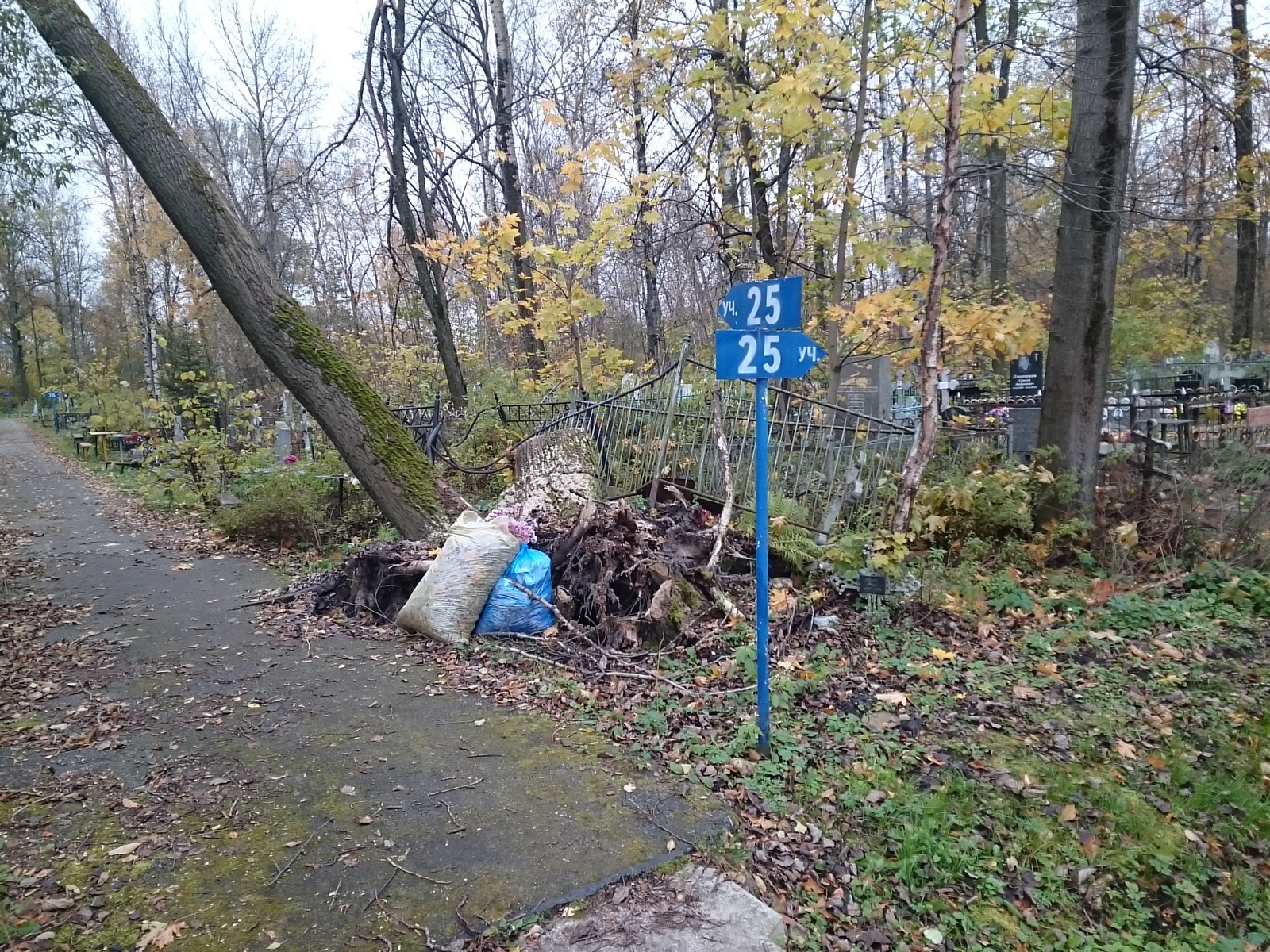 Можно на кладбище в четверг. Девяткино разрушение кладбище в каком году?.