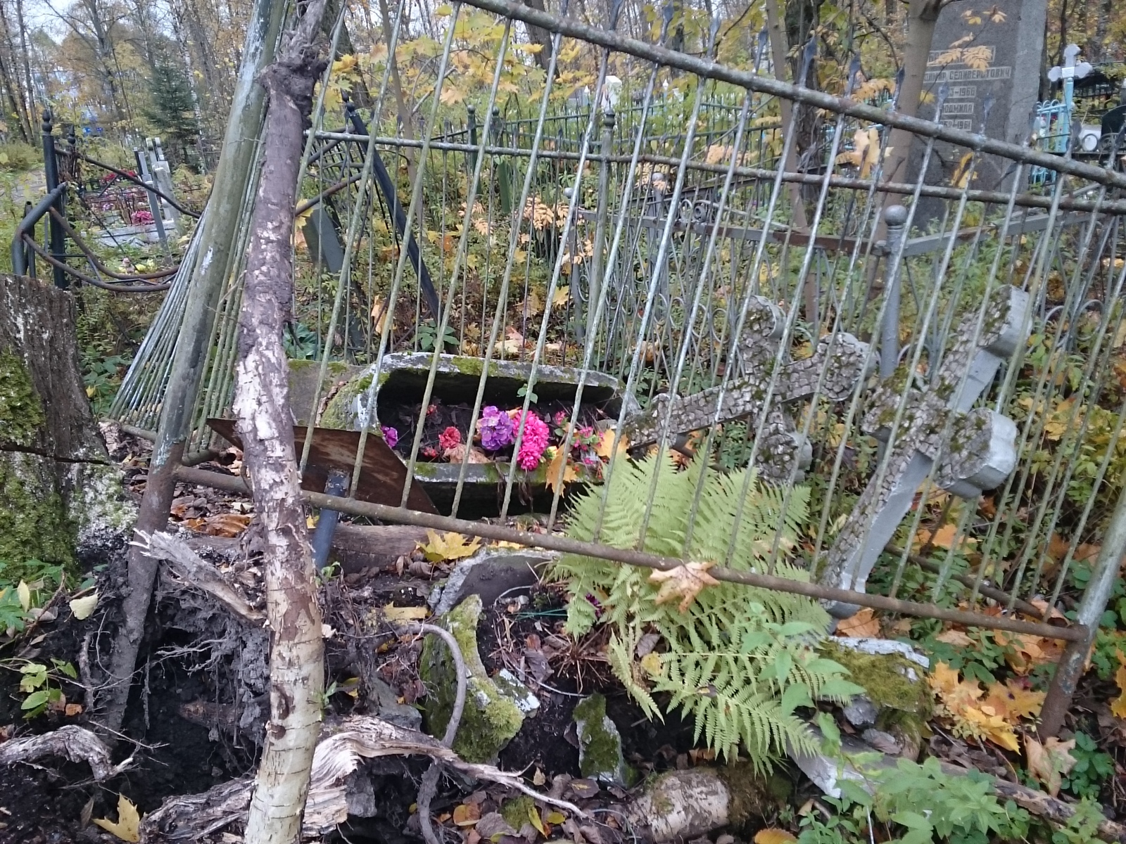 Cemetery of the Memory of the Victims of January 9th: destruction of graves - My, Saint Petersburg, Cemetery, Destruction, Photo, Longpost