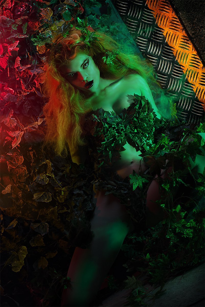 Evening photoset Poison Ivy. - Cosplay, Girls, Comics, Models, The photo, Batman, Poison ivy, Longpost, Dc comics